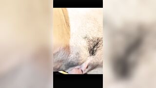 Drilled her on the yellow bed and choke on it