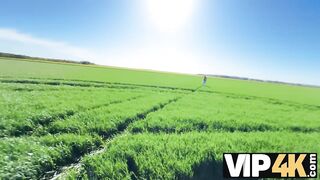 Unfathomable Green Field Of Experiments