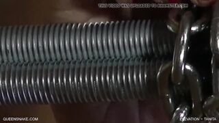 Elevation - Tanita - Queensnake.com, Queensect.com