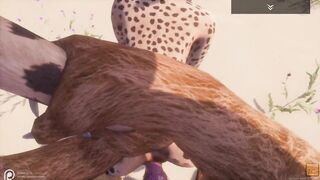Wild Life / Yiff POV with Cheetah hotty