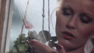 Rockin' with Seka (1980)