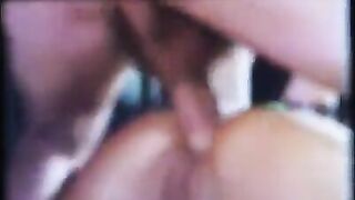 Bavarian Swinger Party