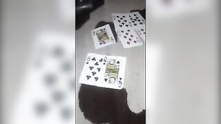 Not brother and sister