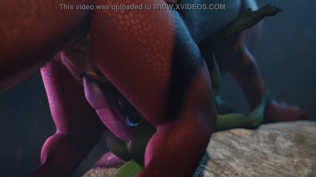 Free HD Dragon and Kobold furry - Ruaidri Vid