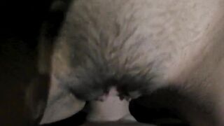 French teen golden-haired get creampie