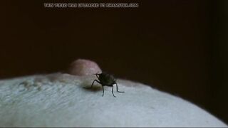 Tilda Swinton - Youthful Adam (2003)