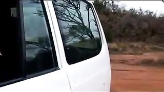 afro hooker satisfies german