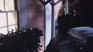 VINTAGE - 1982 - Titillation - 01