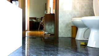 Nicoletta cleans her baths with hawt pee. Do u desire to assist her?