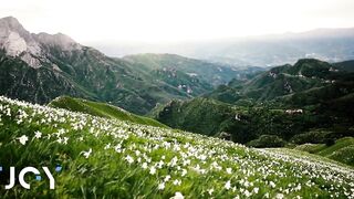 -JOI / JILL- [FR] UNE BALADE DANS LE PARC