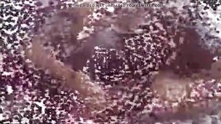 Cuckold Training for A Pleased Pair with Captions