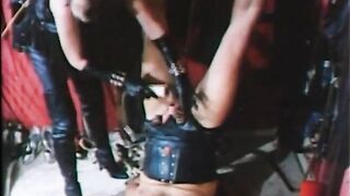 The Extreme Life of Dominas