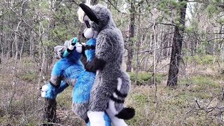 Lustful furries screw in the wild