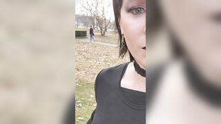 Crystal Dragon daring December display two