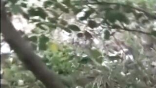 Sexy Golden-Haired Mamma Screwed Outdoor