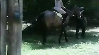 Classic Italian Pt.two