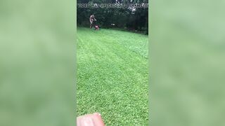 Mowing grass stripped
