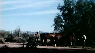 Ravishing Savage - Carol Coners