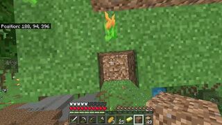 Minecraft Video two: Building a Abode