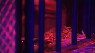 Backey Jakic Classics