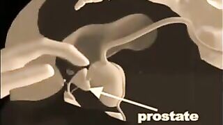 How to give a prostate massage