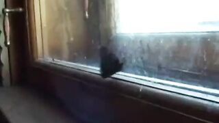 Natalia Sedova - Sborn Sexkey