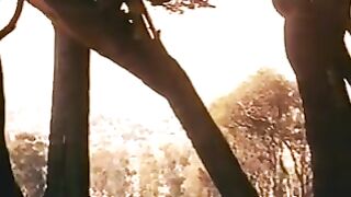 ANDVENTURES OF CANDY 1978