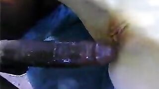 Bi-Sexual Britni vs Mandingo