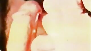 vintage 70s danish - A Hot Supper (german dub) Rodox - cc79