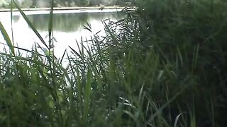 Wife group-fucked by strangers at the beach