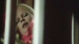 Ricordi di notte (1986)