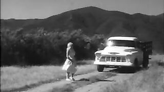 Tortured Females (1965)