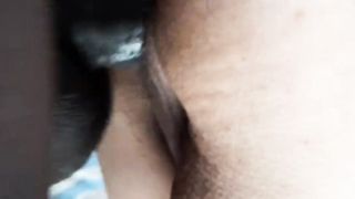 Large bbc Kev is on vacation with moist vagina big beautiful woman Arab Saeda.